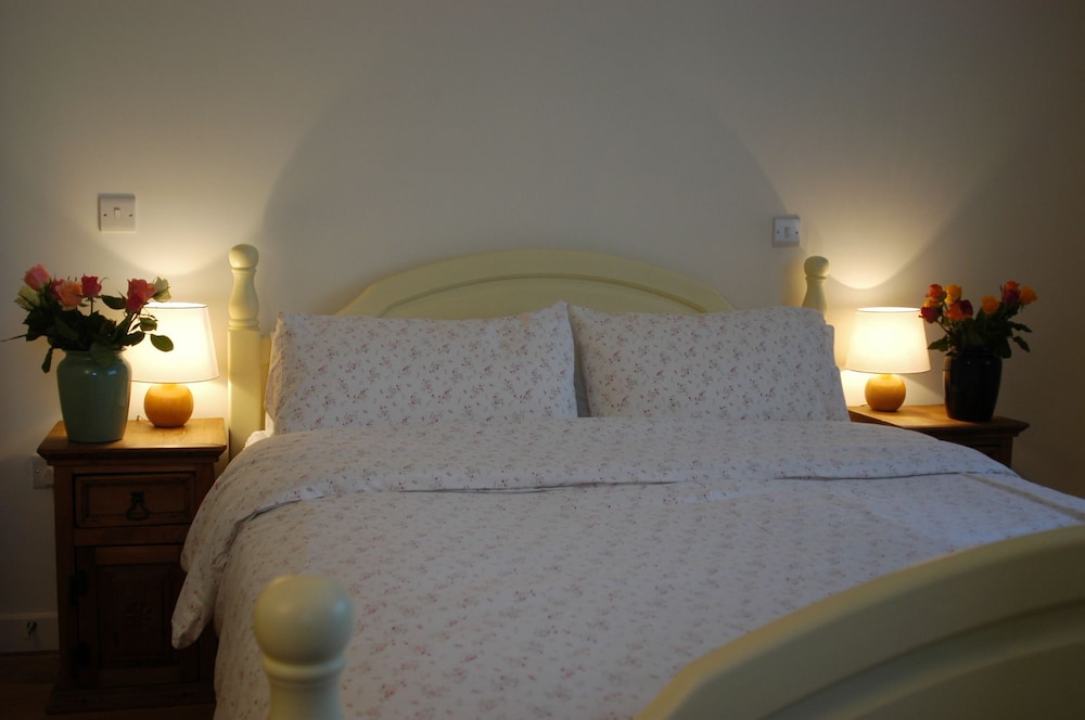 Room, 1 King Bed photo 1