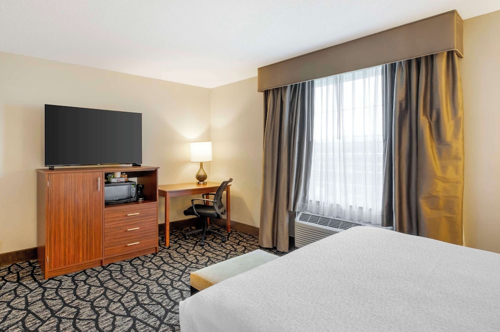 Standard Room, 1 King Bed, Non Smoking, Jetted Tub - Photo 3