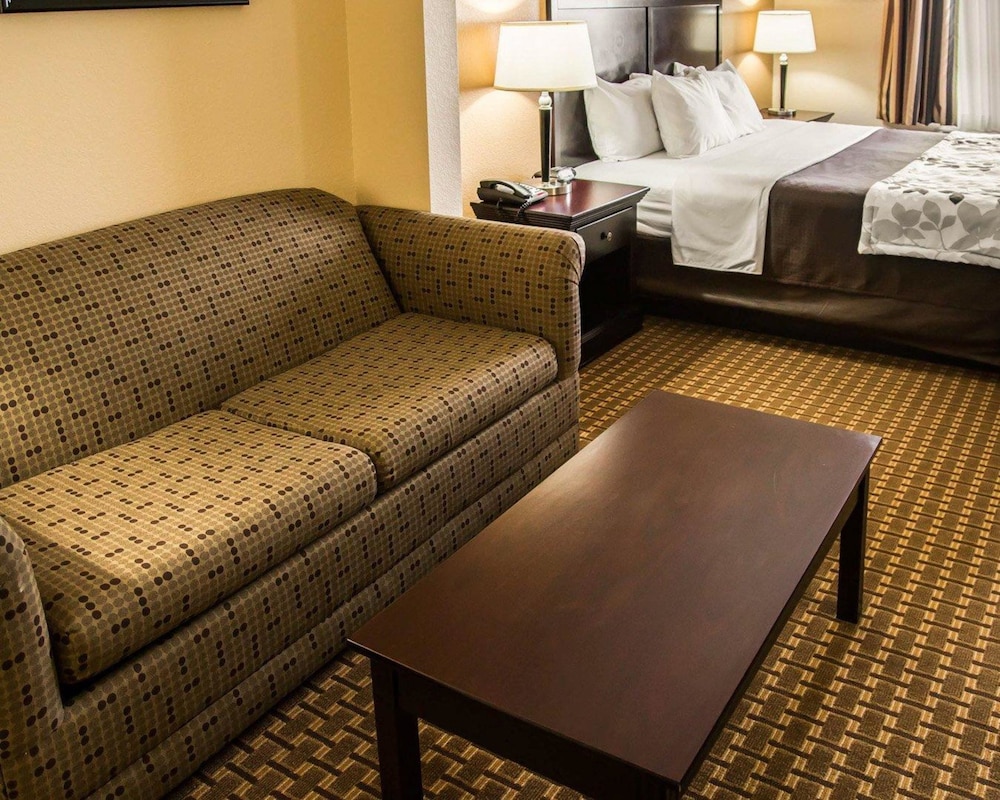 Suite, 1 King Bed with Sofa bed photo 3