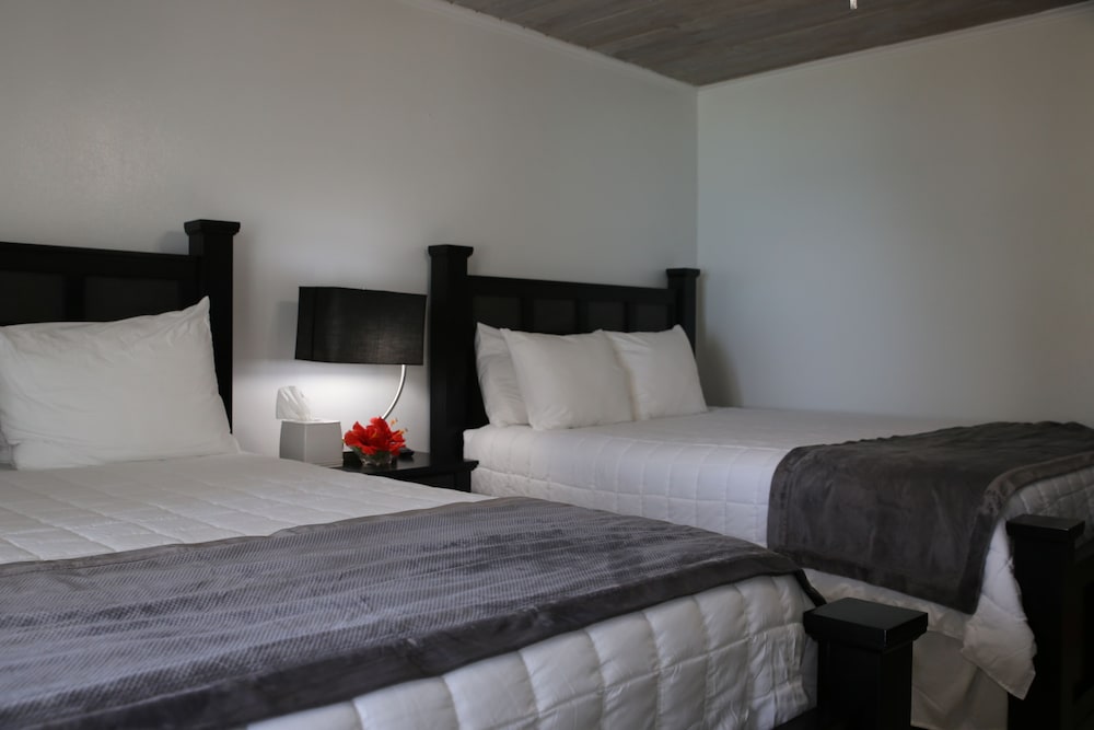 Basic Double Room Single Use, 2 Queen Beds, Ocean View