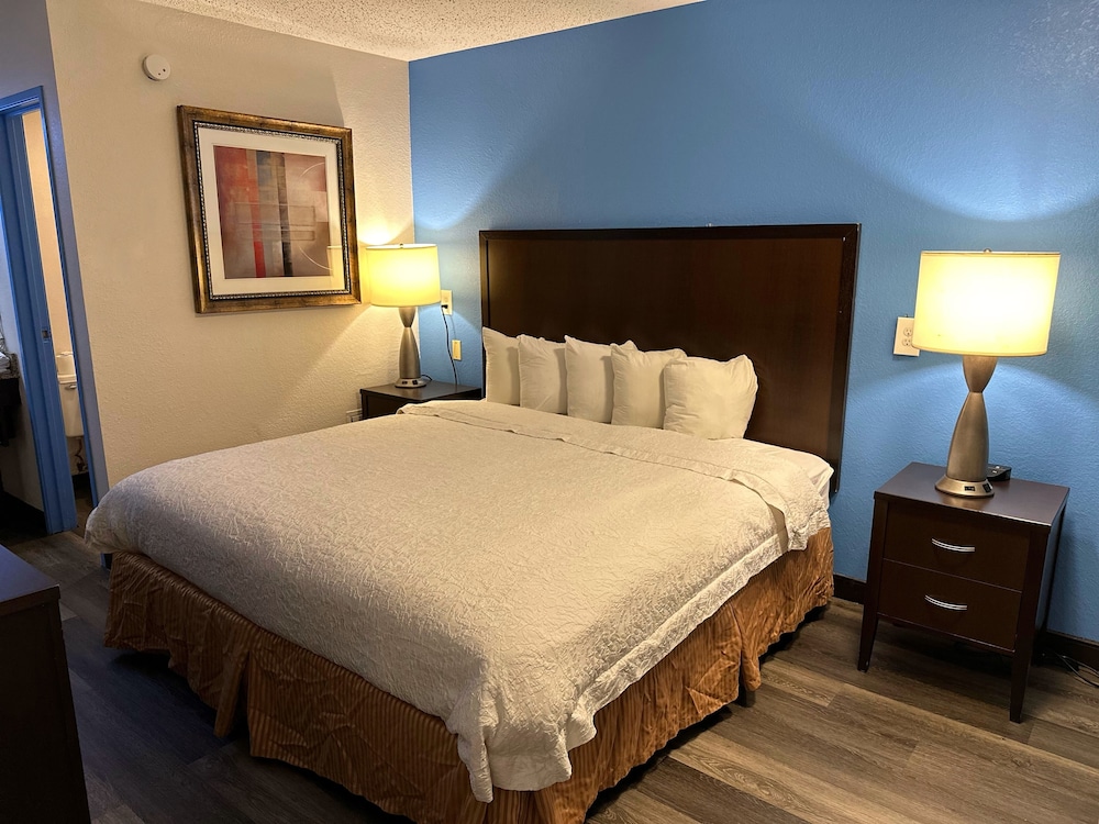 Standard Room, 1 King Bed, Non Smoking photo 1
