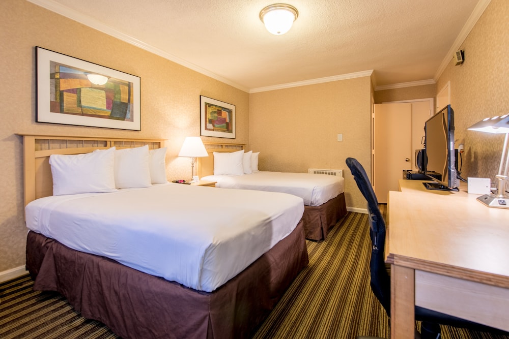 Superior Double Room, 2 Double Beds photo 3