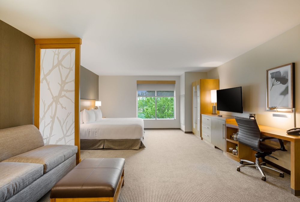 Room, 1 King Bed with Sofa bed, Accessible - Photo 4