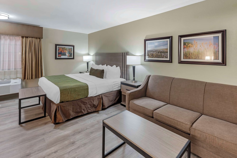Suite, 1 King Bed, Non Smoking, Kitchenette (with Sofabed) photo 2