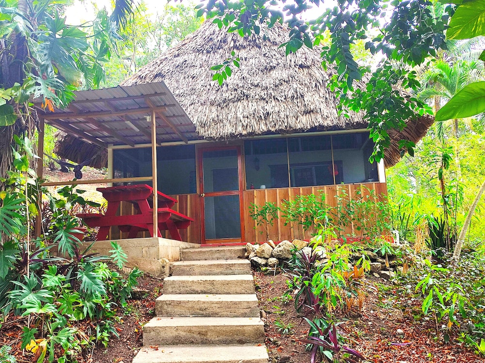 Junior Cabin, 1 Double Bed, Pool Access, Garden View photo 1