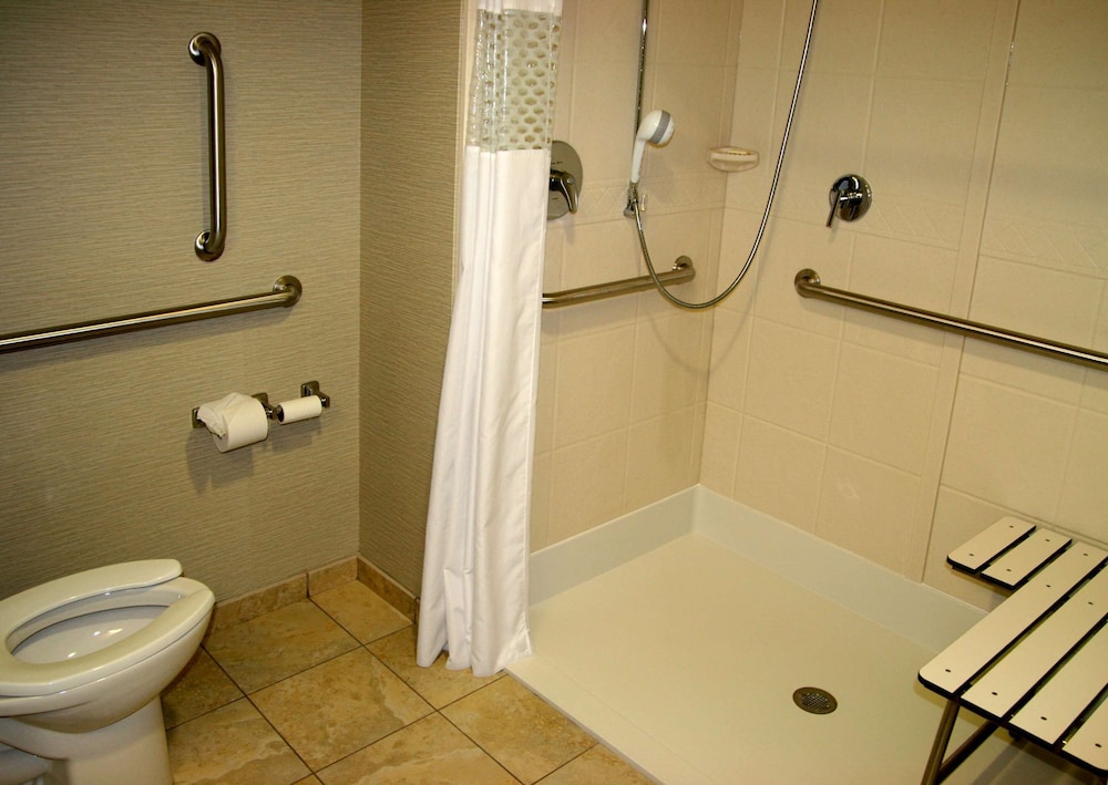 Basic Room, 1 King Bed, Accessible (Roll-In Shower) - Photo 11