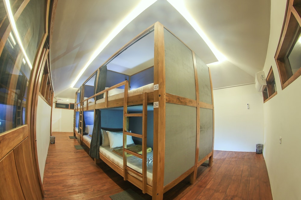 Shared Dormitory, Mixed Dorm photo 2