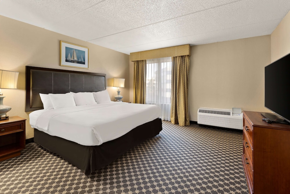 Suite, 1 King Bed, Non Smoking photo 1