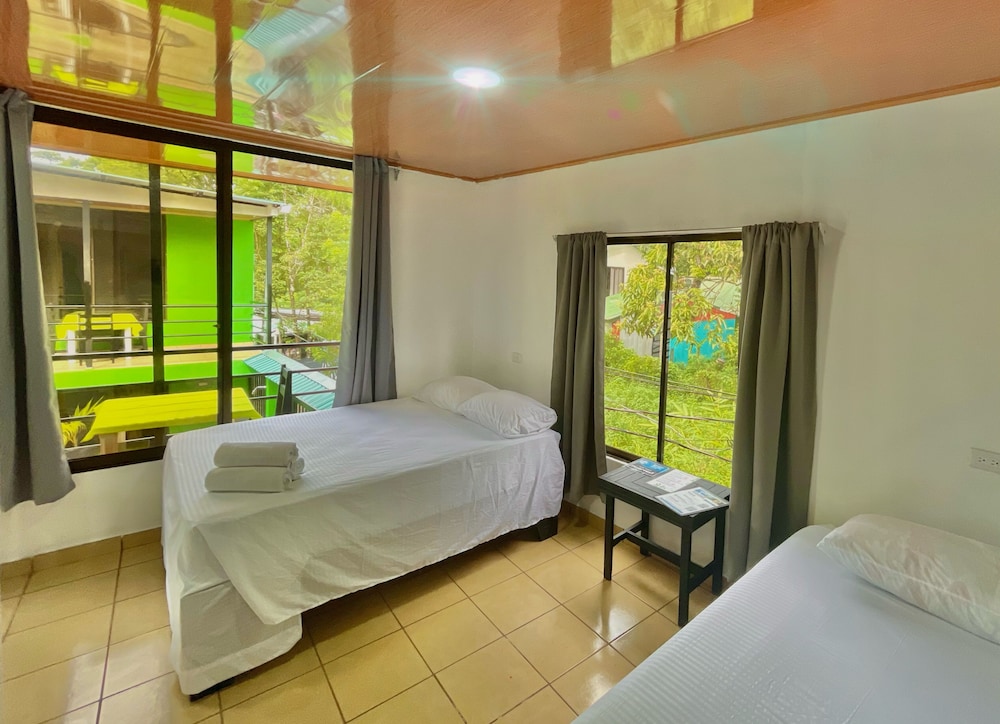 Superior Double or Twin Room photo 3