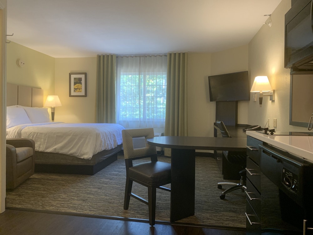 Studio Suite, 1 Queen Bed - Photo 4