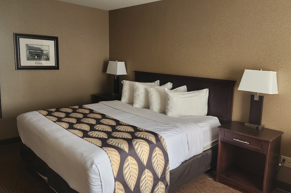 Business Suite, 1 King Bed photo 1