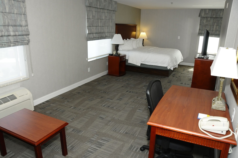 Studio, 1 King Bed, Accessible, Non Smoking - Photo 5