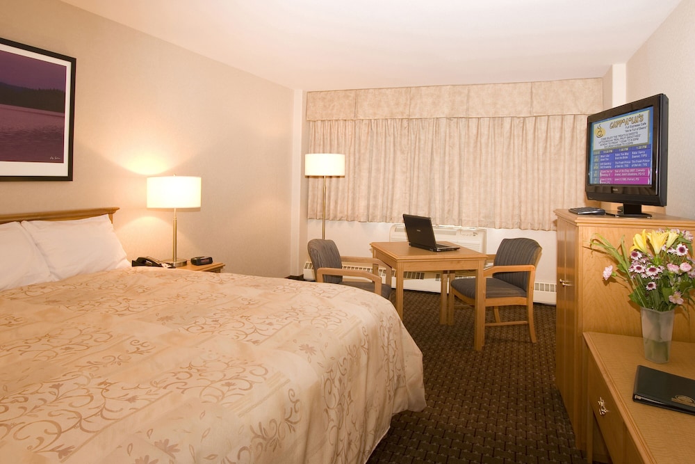 Executive Single Room, 1 King Bed, Non Smoking - Photo 1