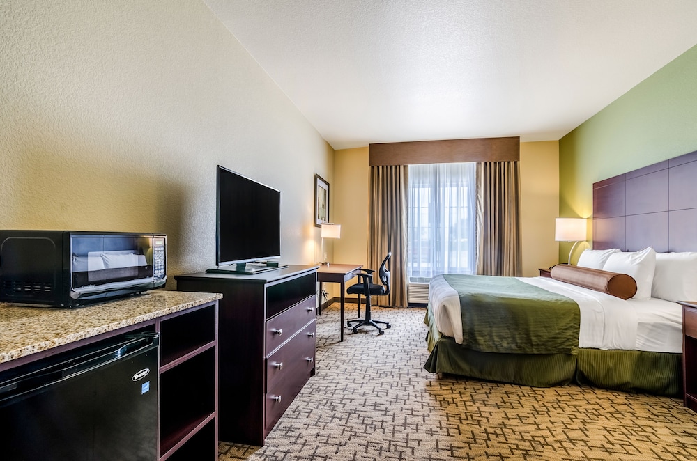 Suite, 1 King Bed, Non Smoking - Photo 6