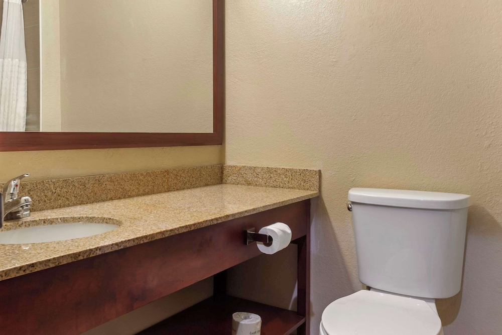 Suite, 1 King Bed, Non Smoking - Photo 4