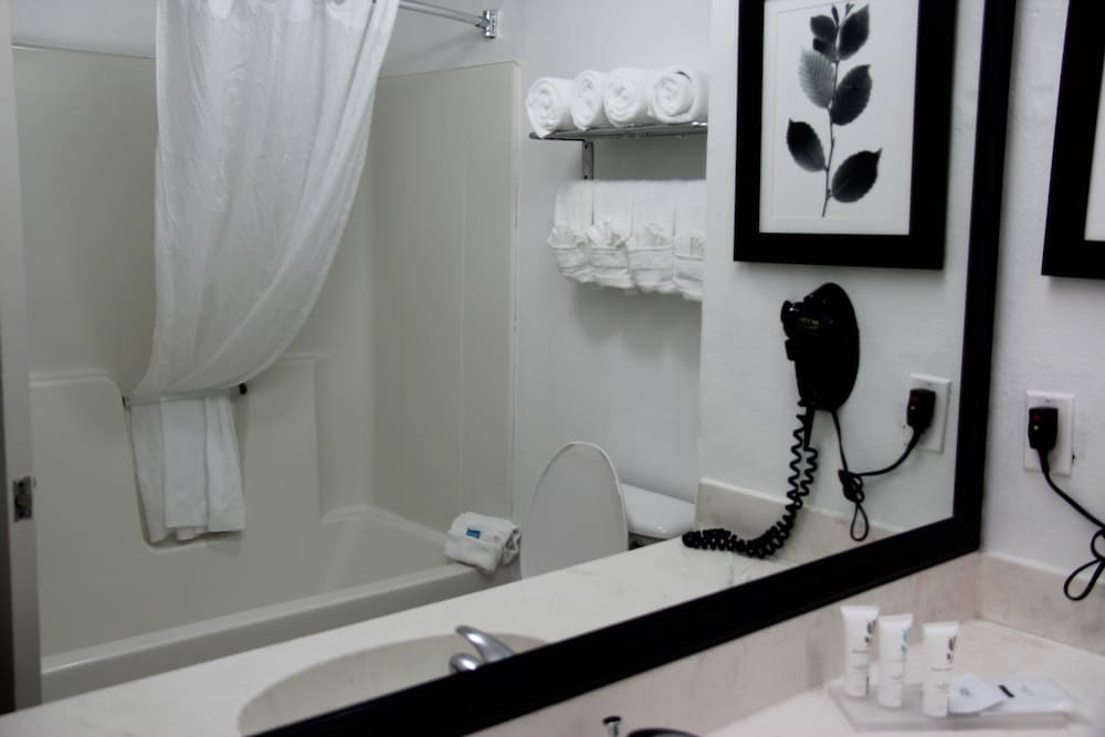 Suite, 1 King Bed, Non Smoking - Photo 5