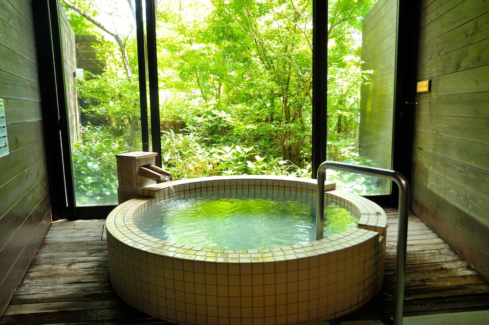 [LAKA]  TWIN ROOM with hot spring bath  (non-smoking) photo 1