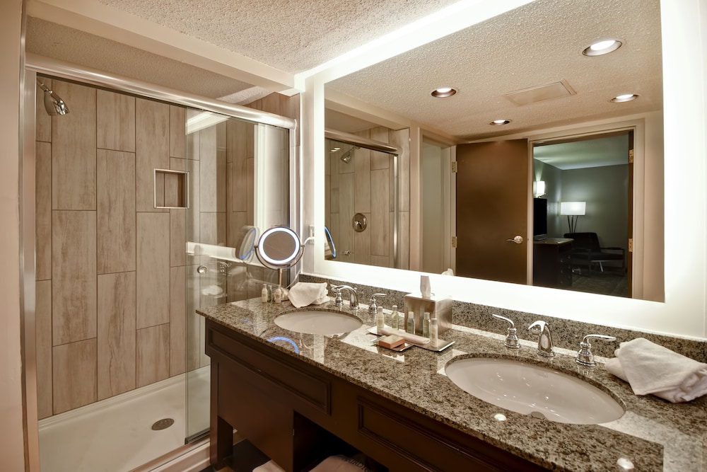 Suite, 1 King Bed, Non Smoking photo 2