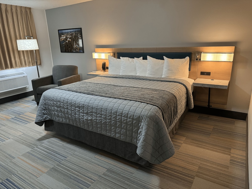 Standard Single Room - Photo 7