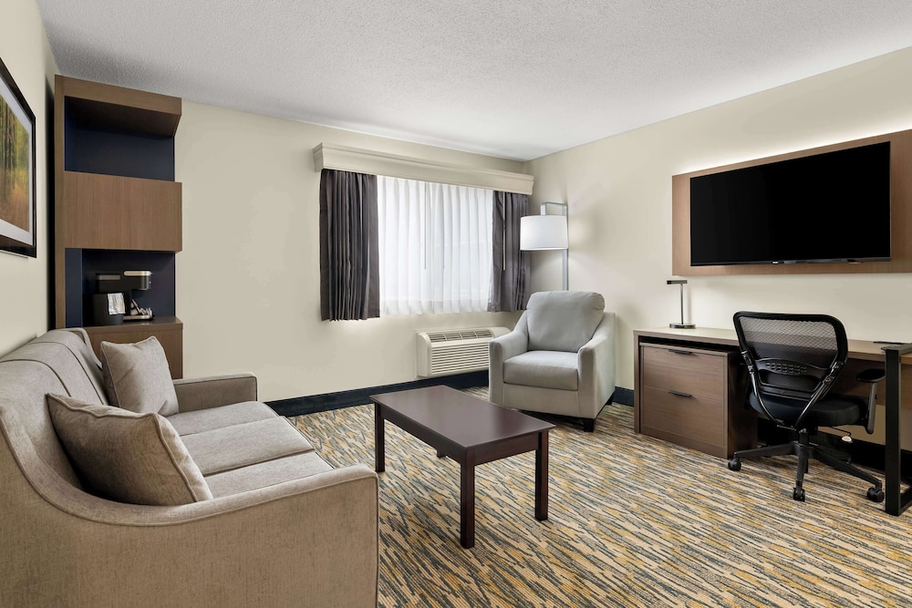 Suite, 1 King Bed, Non Smoking, Refrigerator & Microwave (with Sofabed) photo 1