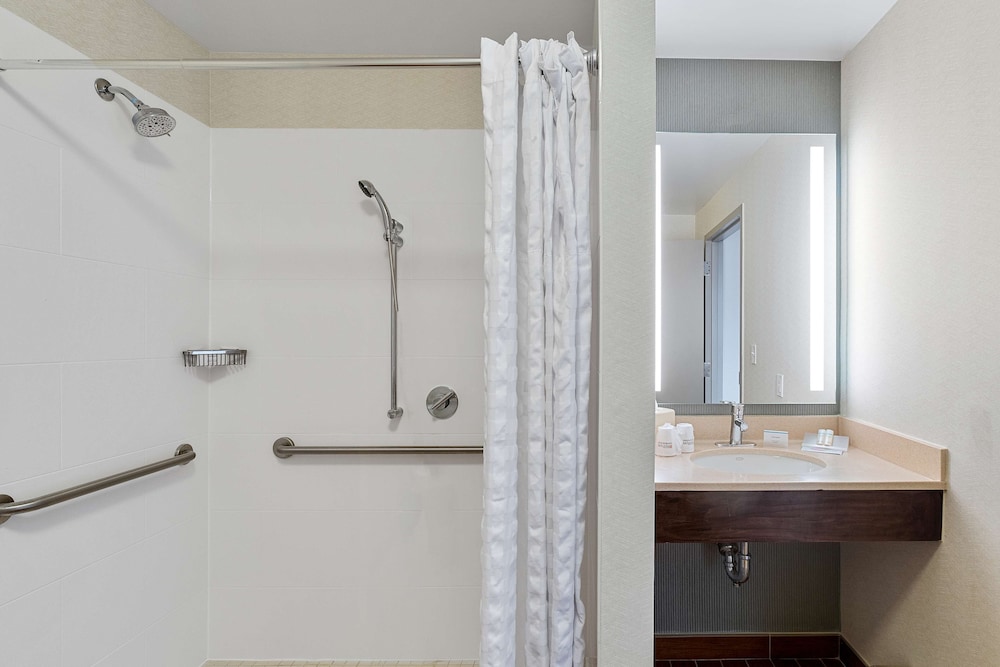 Room, 1 King Bed, Accessible (Roll-In Shower) - Photo 9