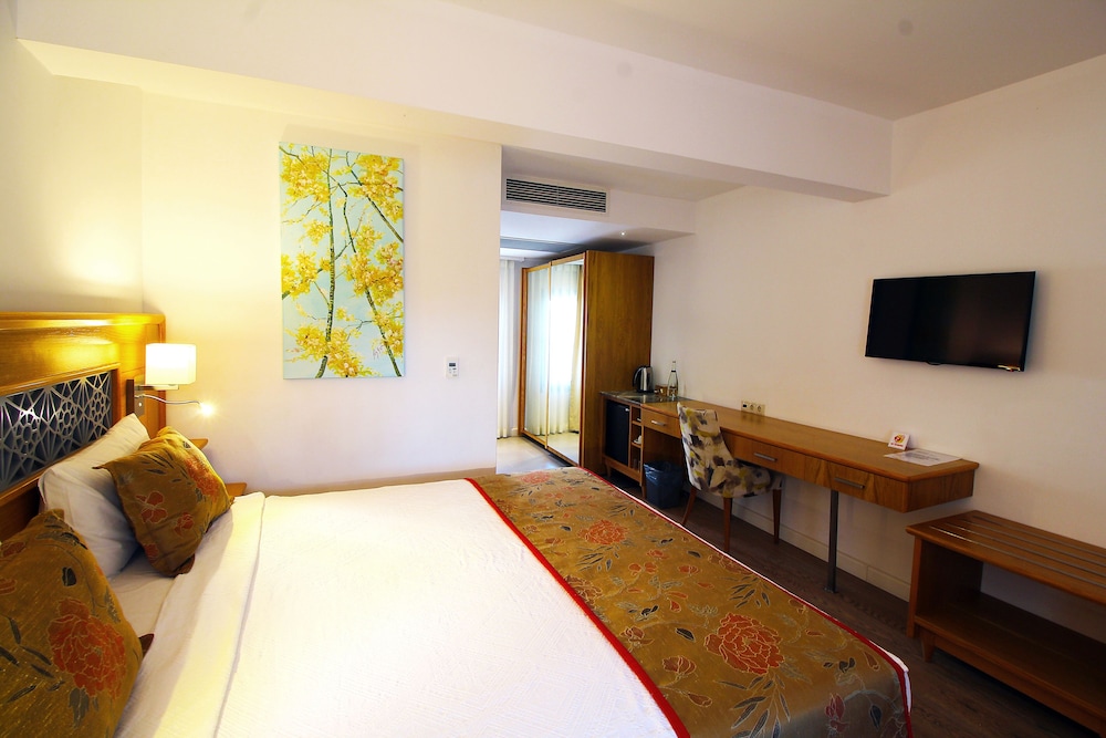 Deluxe Double Room photo 2