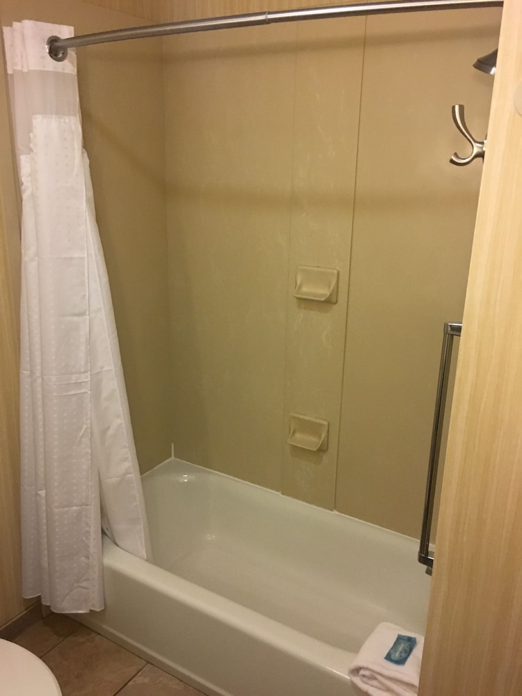 Suite, Multiple Beds - Photo 4