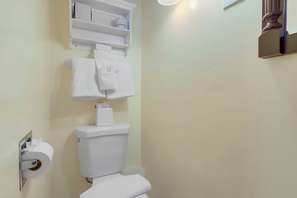 Petite Queen Room (Not Pet Friendly) photo 3