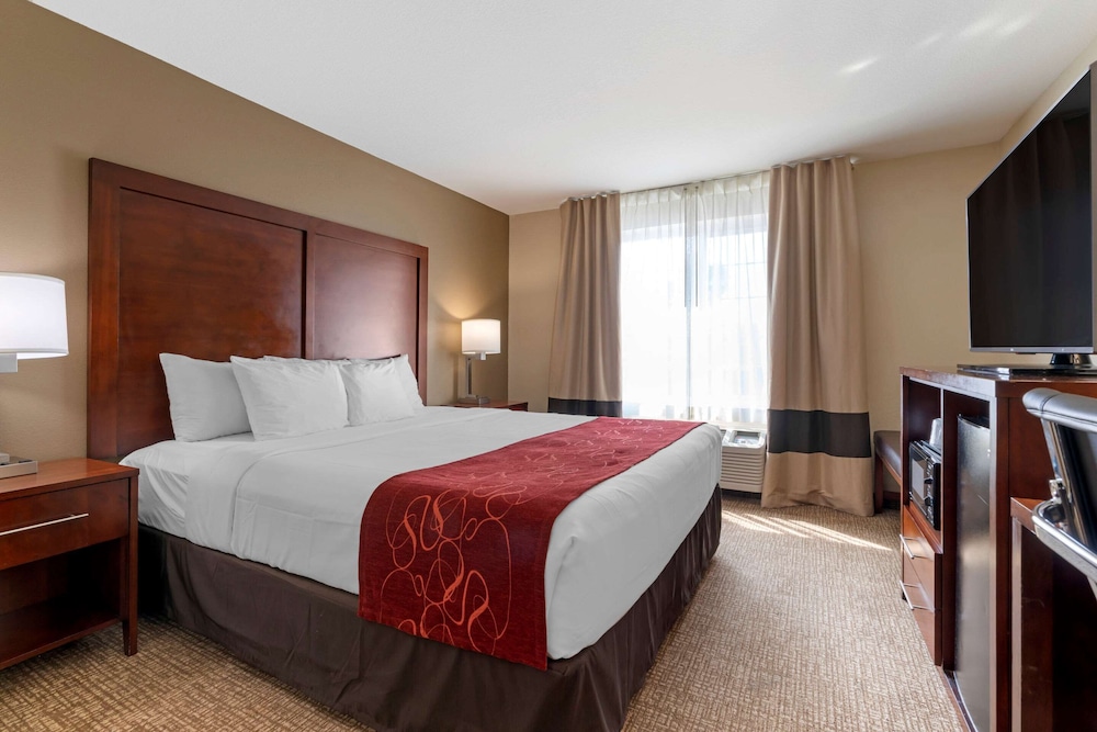 Standard Studio Suite, 1 King Bed with Sofa bed, photo 6