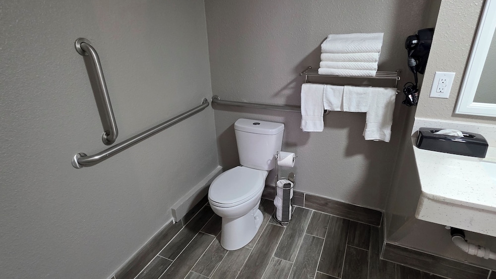 Room, 1 King Bed, Accessible, Non Smoking - Photo 15