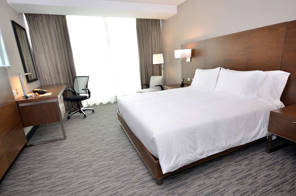 Room, 1 King Bed, Accessible photo 1