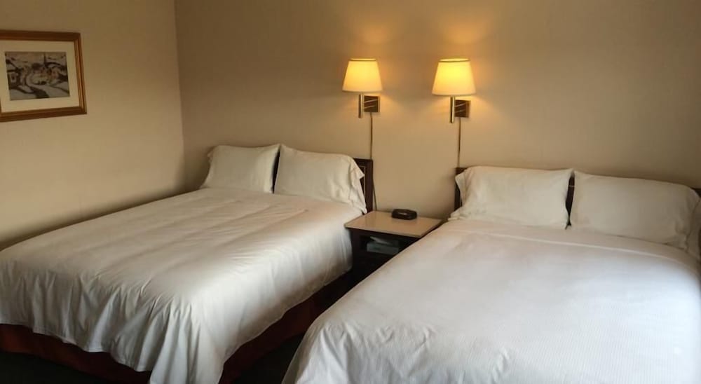 Standard Room, 2 Double Beds photo 1