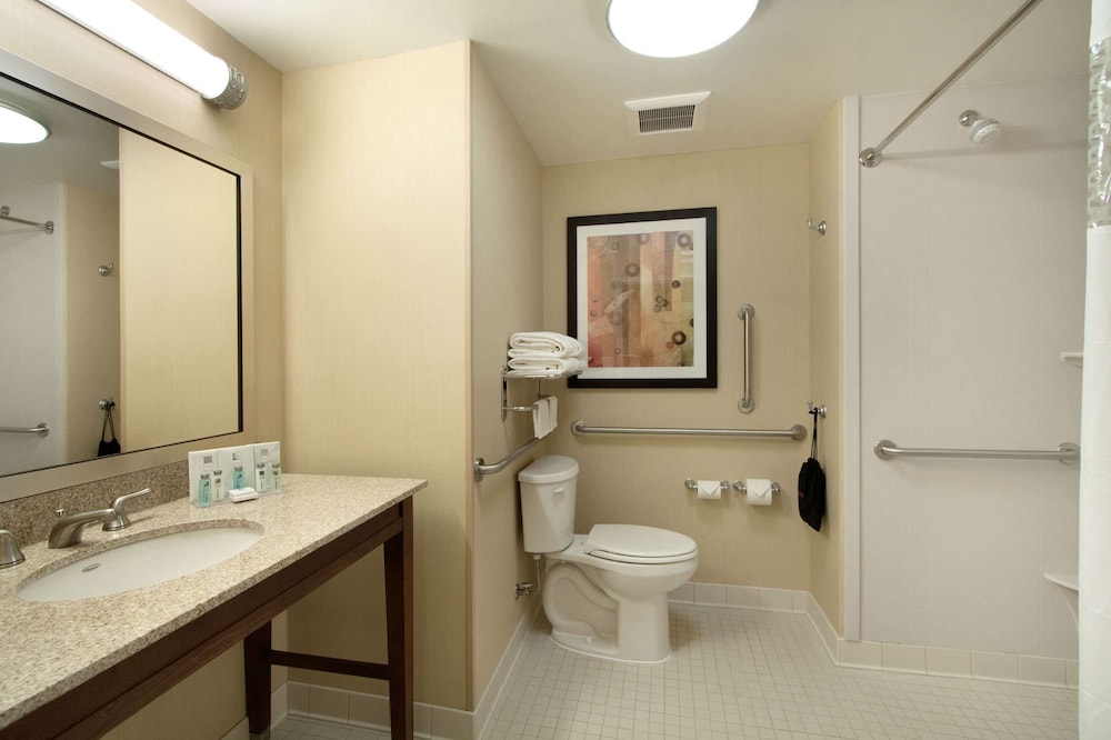 Suite, 1 King Bed, Accessible, Non Smoking - Photo 4