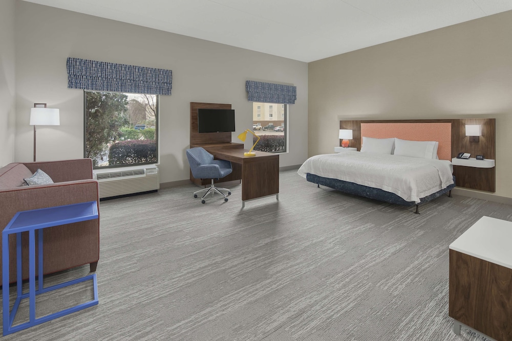 Suite, 1 King Bed, Accessible, Non Smoking - Photo 1
