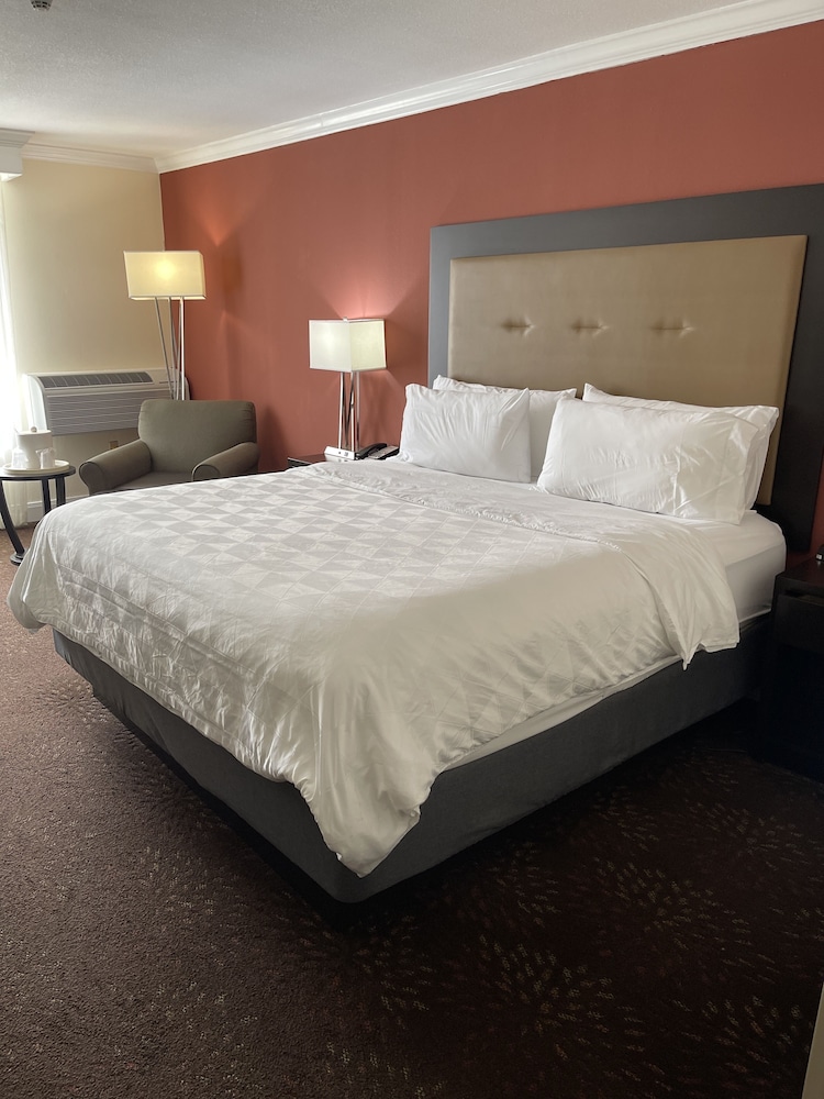 Standard Room, 1 King Bed (Pool/Courtyard View) photo 1