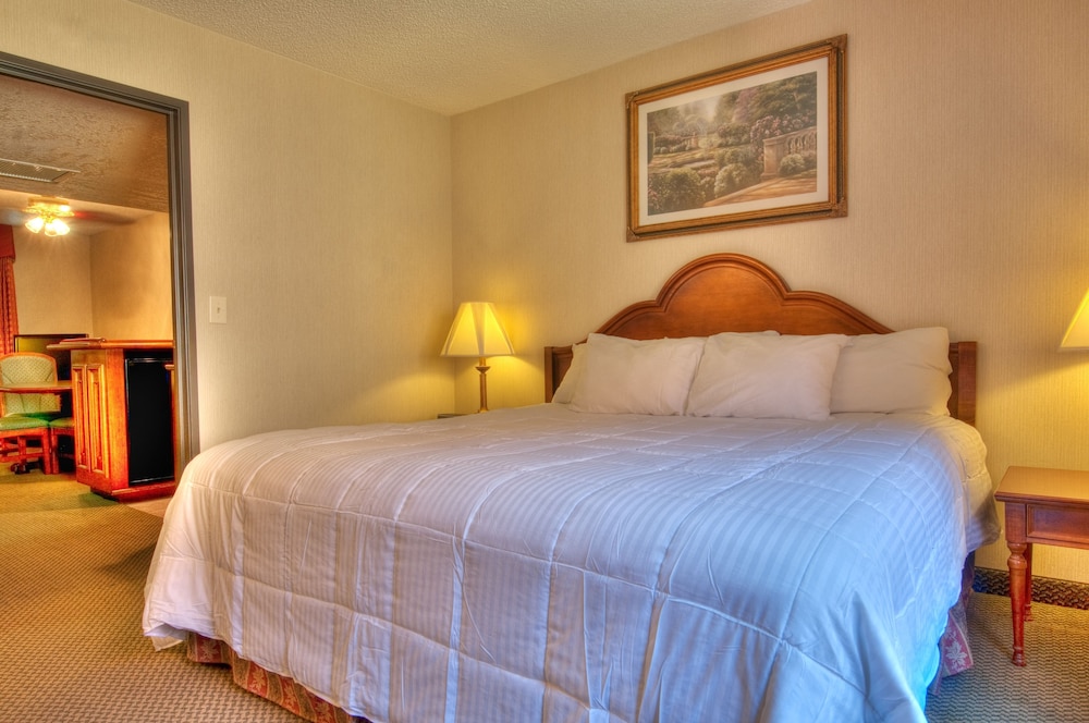 Suite, Non Smoking - Photo 1