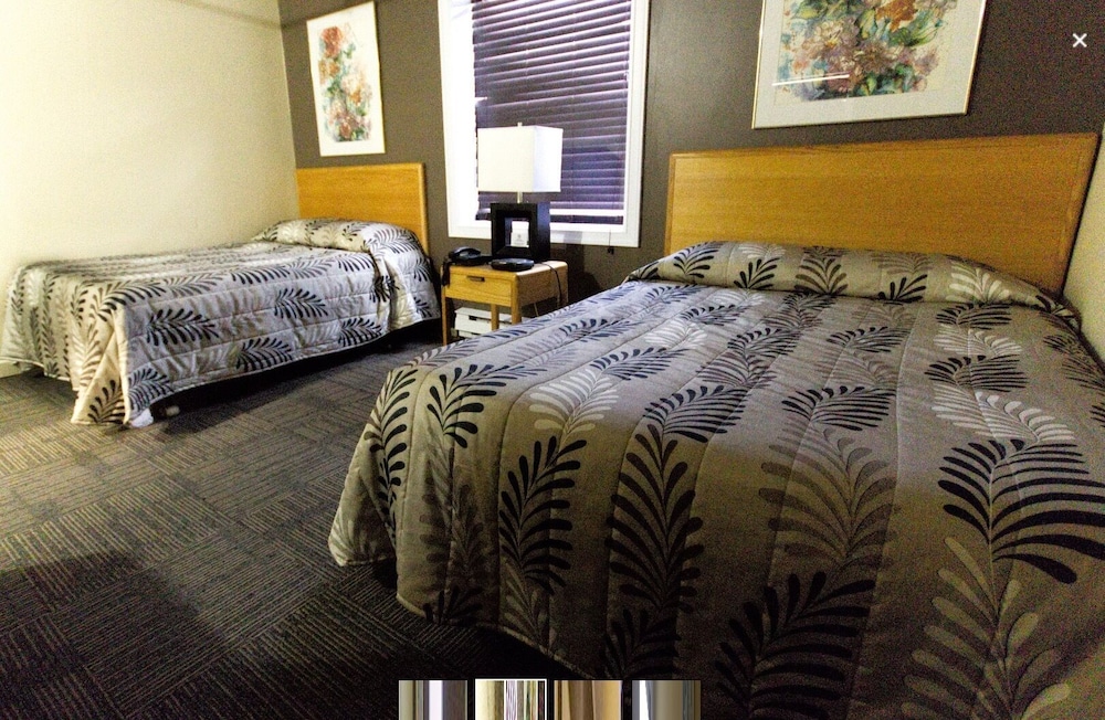 Basic Double Room photo 1
