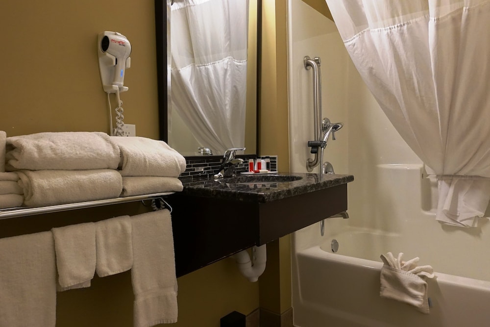 Standard Room, 1 King Bed, Accessible, Non Smoking - Photo 4