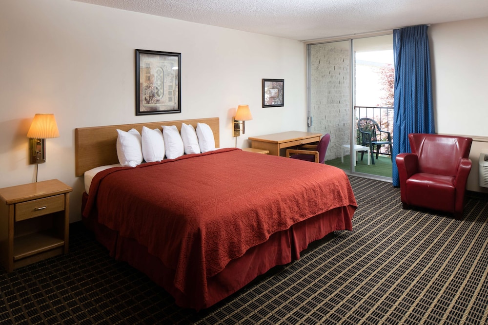 Suite, 1 King Bed photo 3