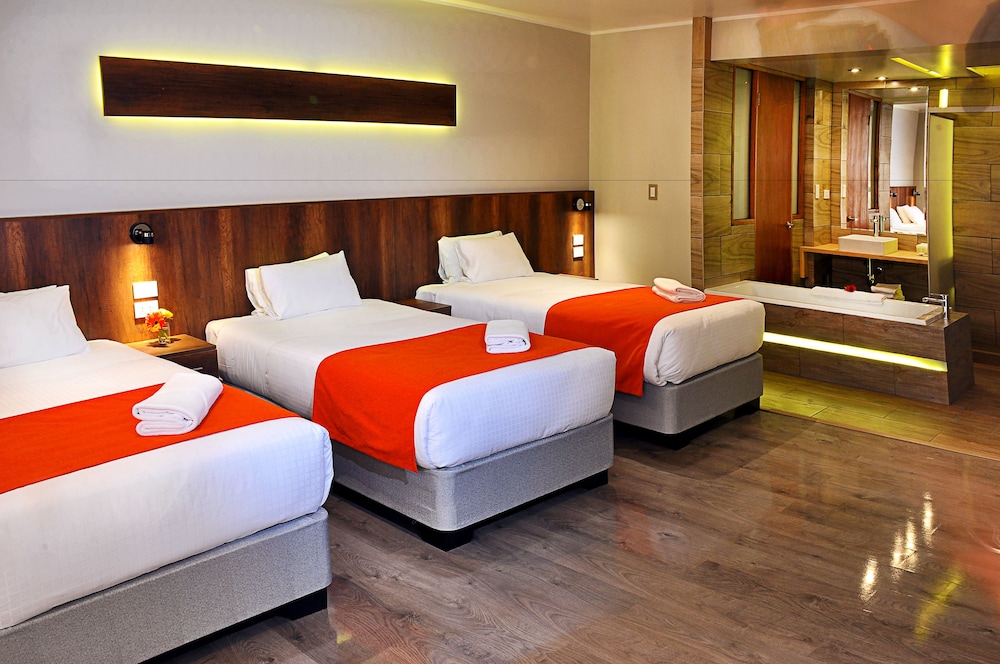 Triple Room photo 3