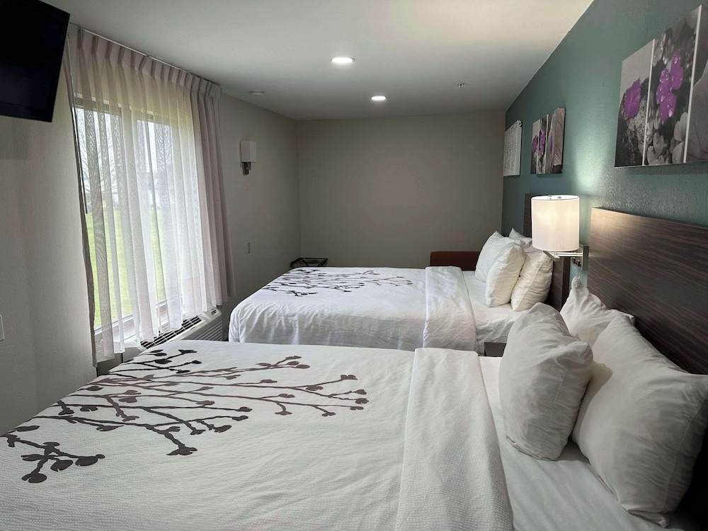 Business Suite, Multiple Beds, Accessible, Non Smoking (Efficiency) - Photo 4