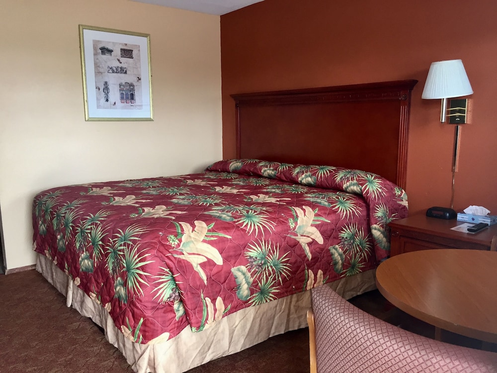 Basic Room, 1 King Bed, Smoking photo 1