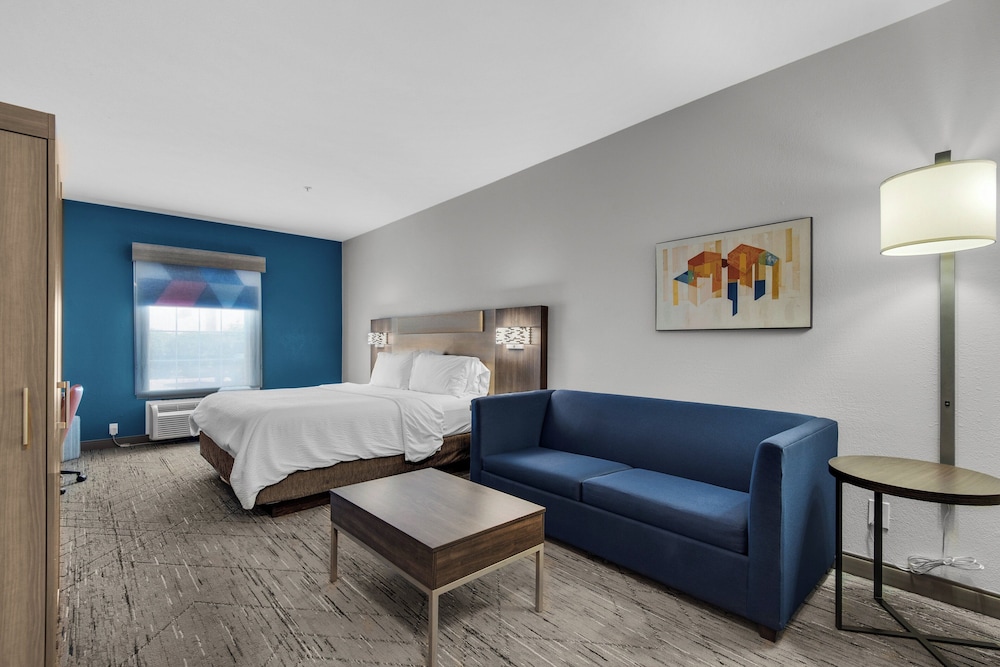 Suite, 1 King Bed, Accessible (Communications Accessible) - Photo 6