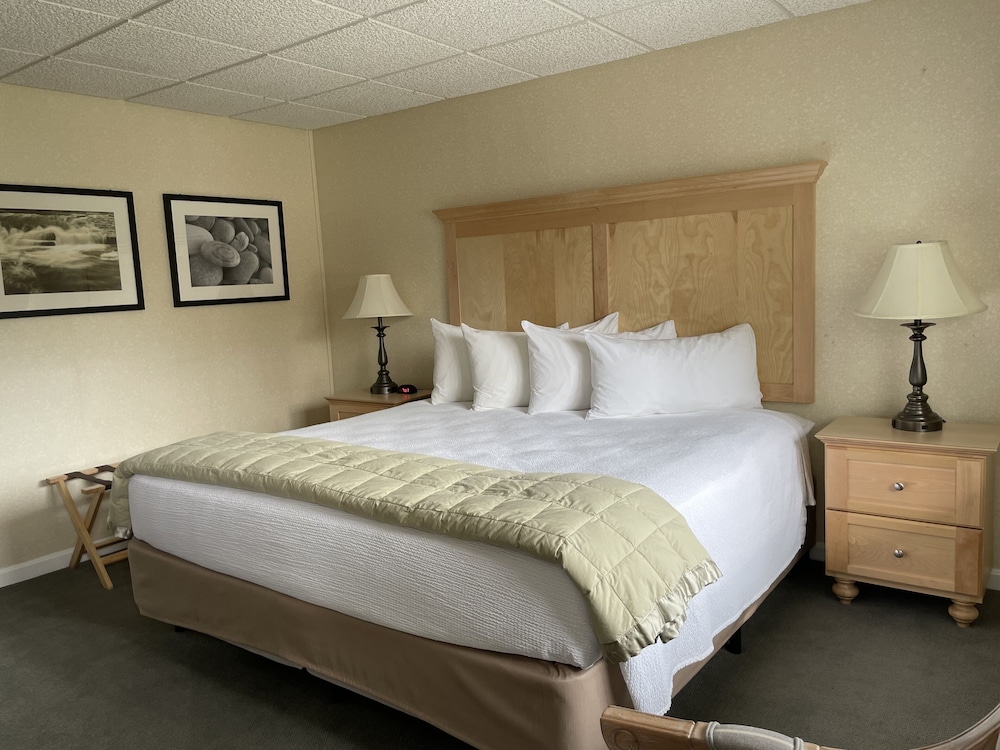 Motel King - M1