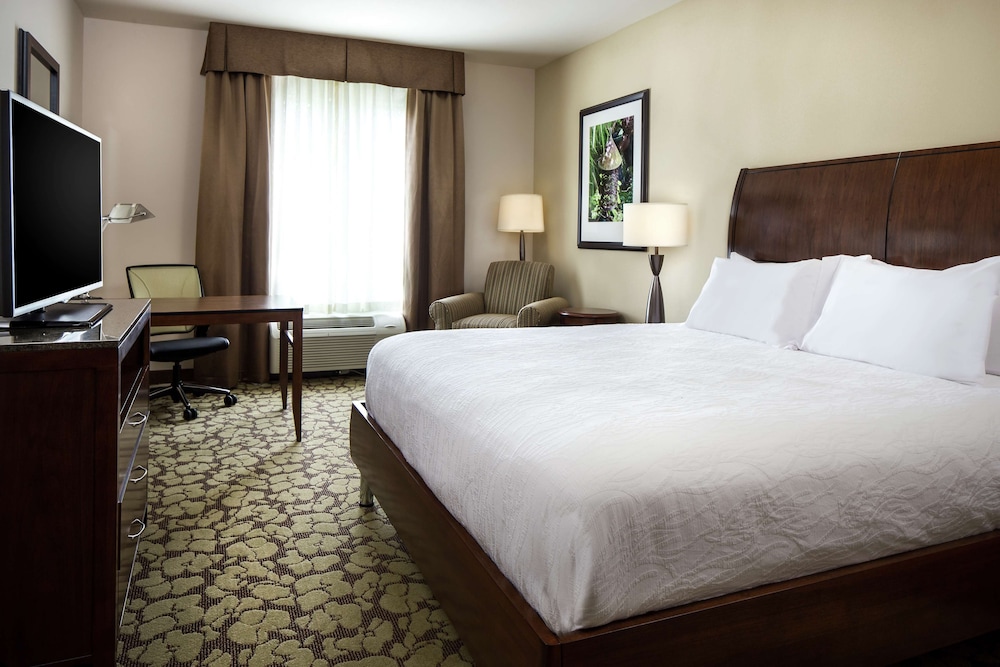 Junior Suite, 1 King Bed, Accessible (Hearing), photo 6