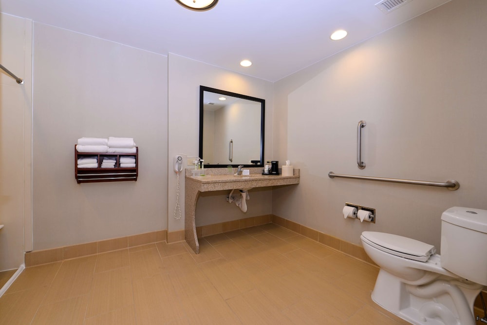 Room, 1 King Bed, Accessible, Non Smoking (Roll-in Shower)