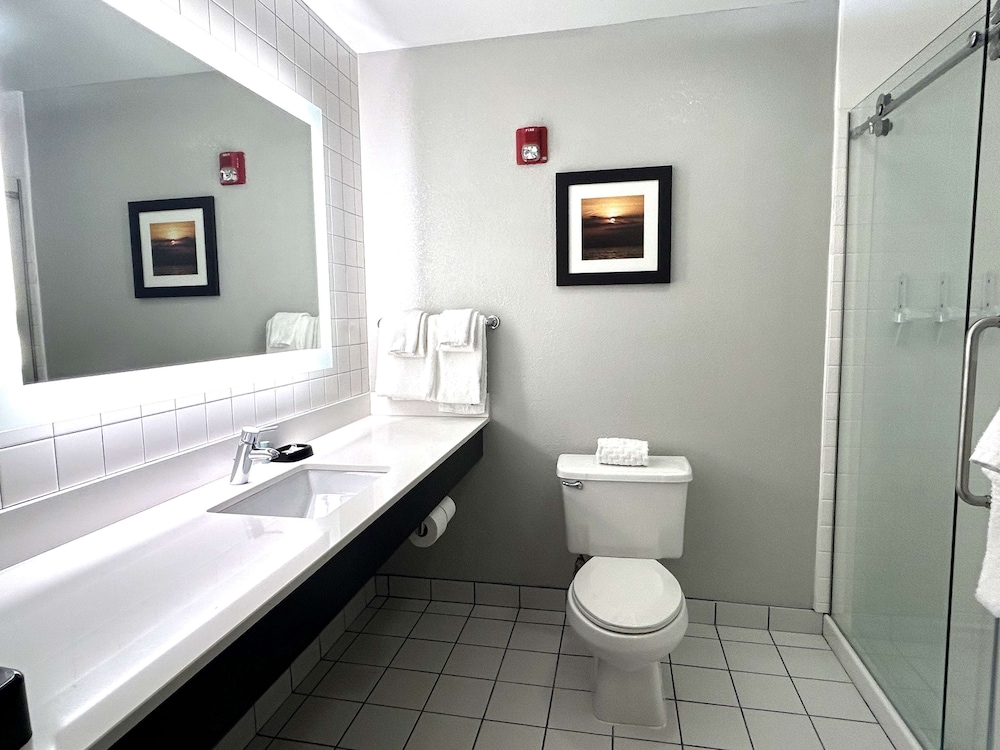Standard Room, 1 King Bed, Non Smoking (Walk-in Shower) - Photo 2
