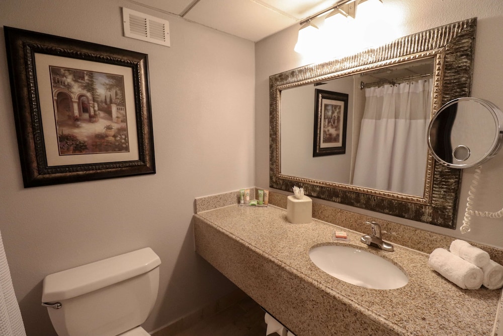 Suite, 1 Bedroom, Non Smoking - Photo 6