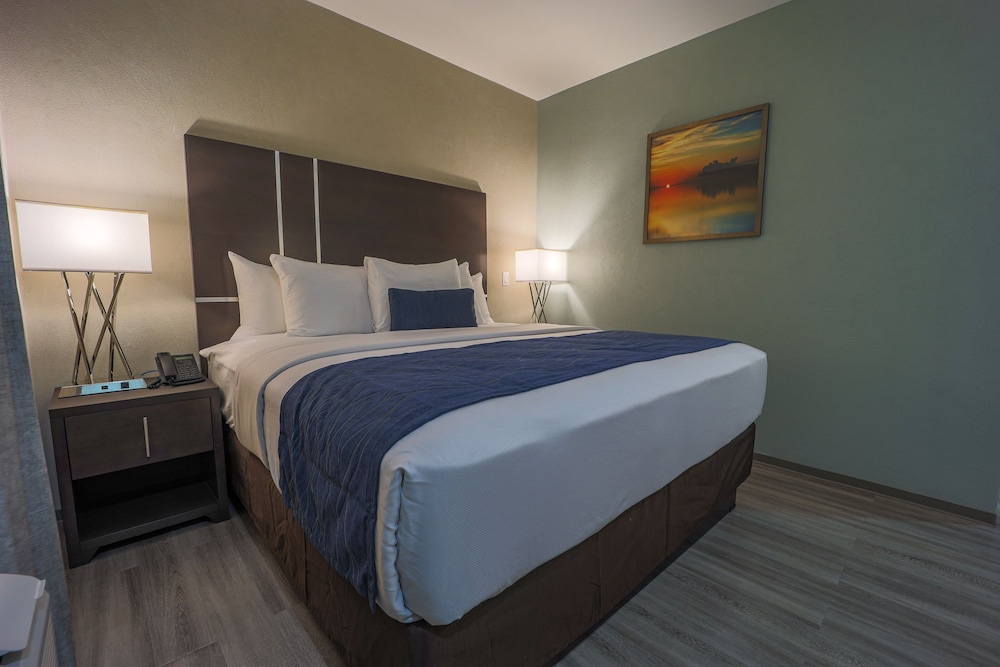 Standard Room, 1 King Bed, Non Smoking - Photo 3