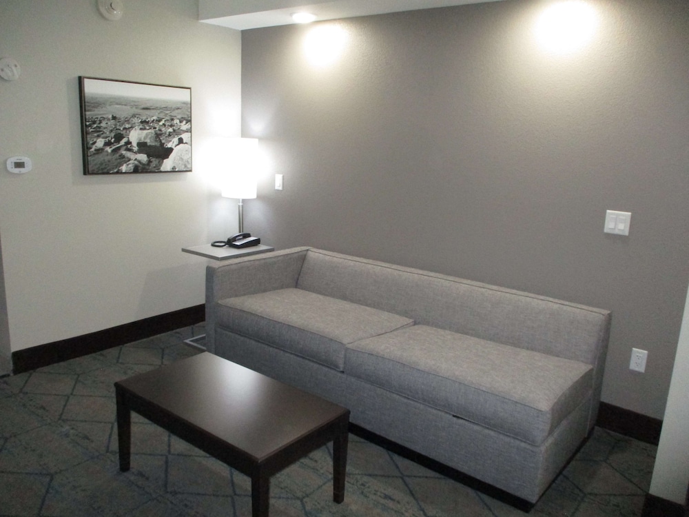 Suite, 1 King Bed, Refrigerator & Microwave (with Sofabed) - Photo 4